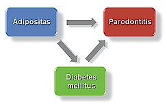 Abb. 8: Direkter und indirekter Effekt von Adipositas auf Parodontitis.